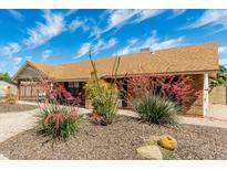 Landscaped front yard with mature plants and a well-maintained brick exterior create curb appeal at 1240 E Indigo St, Mesa, AZ 85203