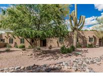 Charming single story home with desert landscaping and a large Saguaro Cactus at 23405 N 84Th St, Scottsdale, AZ 85255