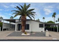 Charming single-story home featuring a desert-landscaped front yard, palm tree, and a covered carport at 2661 N Wright Way, Mesa, AZ 85215