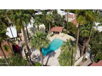 Aerial view of a pristine pool surrounded by lush palm trees and well-maintained landscaping at 6540 N 7Th Ave # 46, Phoenix, AZ 85013