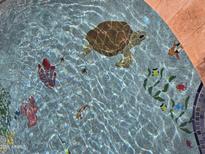 A sparkling pool with whimsical underwater turtle and fish mosaic tile art provides an eye-catching custom finish at 10846 E Quartet Ave, Mesa, AZ 85212