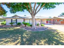 Charming single-story home with a well-manicured lawn and mature shade tree in the front yard at 4713 E Cambridge Ave, Phoenix, AZ 85008