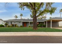 Charming single-story home with well-maintained lawn and mature shade tree in front at 1316 E Vermont Ave, Phoenix, AZ 85014