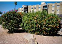 Exterior shot featuring the building with nice landscaping and vibrant orange flowers at 425 S Parkcrest -- # 335, Mesa, AZ 85206