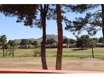 Scenic view of a golf course and mountains with towering trees at 4303 E Cactus S Rd # 229, Phoenix, AZ 85032