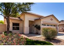 Charming single-story home with a well-manicured lawn, mature tree, and welcoming entrance at 11591 W Jefferson St, Avondale, AZ 85323