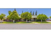 Charming single-story home with a lush green lawn and mature citrus trees in a well-maintained neighborhood at 1907 E Huber St, Mesa, AZ 85203