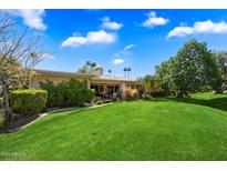 Expansive backyard with lush lawn and mature landscaping offering serene outdoor living at 7746 E Bisbee Rd, Scottsdale, AZ 85258