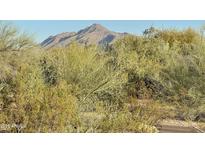 Desert landscaping offers tranquil mountain views, promoting serenity and natural beauty at 20801 N 90Th Pl # 169, Scottsdale, AZ 85255