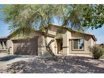 Charming single-story home with a landscaped front yard and mature shade tree at 16188 W Boca Raton Rd, Surprise, AZ 85379