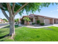 Charming single-story home featuring a well-maintained lawn and desert landscaping at 945 N Pasadena -- # 35, Mesa, AZ 85201