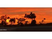 Dramatic sunset colors light up the sky behind the silhouetted palm trees in this picturesque tropical community at 5804 N Echo Canyon Ln, Phoenix, AZ 85018