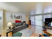 Bright living room featuring wood-look floors, a gray sofa with red pillows, and sliding glass doors for natural light at 111 S Greenfield Rd # 400, Mesa, AZ 85206