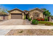 Charming single-Gathering home showcasing desert landscaping and a two-car garage at 20592 E Reins Rd, Queen Creek, AZ 85142