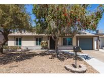 Charming single-story home featuring desert landscaping and a beautiful flowering tree in front at 3732 E Greenway Ln, Phoenix, AZ 85032