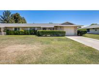 Charming single-story home with a well-manicured lawn and mature landscaping at 9805 W Burns Dr, Sun City, AZ 85351