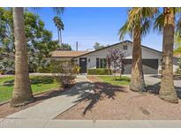 Charming single-story home with a well-maintained front yard and inviting walkway framed by mature palm trees at 8036 N 17Th Dr, Phoenix, AZ 85021