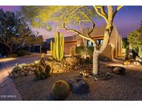Inviting front yard landscaping with desert plants and decorative lighting at 9566 E Raindance Trl, Scottsdale, AZ 85262