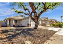 Charming single-story home with a well-maintained yard and a large, mature shade tree enhancing curb appeal at 1320 E Binner Dr, Chandler, AZ 85225