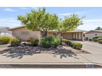 Charming single-story home featuring a well-maintained front yard with mature landscaping and a covered carport at 6631 E Dallas St, Mesa, AZ 85205