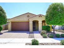 Charming single-story home with a well-maintained front yard, a desert landscape, and a two car garage at 10065 E Tiger Lily Ave, Mesa, AZ 85212