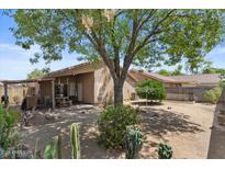 A private backyard featuring a covered patio and desert landscaping at 2467 E Winchester Pl, Chandler, AZ 85286