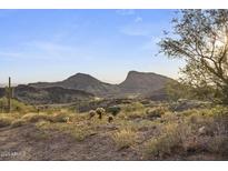 Expansive desert views showcase the natural beauty surrounding the property, with mountains in the distance at 10716 N Skyline Dr, Fountain Hills, AZ 85268
