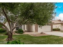 Charming home exterior with a well-maintained lawn, mature tree, and a two-car garage at 1424 W Mead Dr, Chandler, AZ 85248
