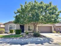 Charming single-story home with a large shade tree in the front yard and well manicured landscaping at 10123 E Pampa Ave, Mesa, AZ 85212