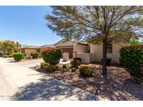 Beautiful single-story home featuring manicured landscaping with colorful shrubs and an attached two-car garage at 14921 W Luna S Dr, Litchfield Park, AZ 85340