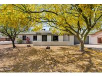 Charming single-story home with mature, flowering trees and a well-manicured lawn at 13816 N 46Th St, Phoenix, AZ 85032