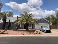 Charming single-story home with desert landscaping, a palm tree, and a blue sky backdrop at 9327 E Des Moines St, Mesa, AZ 85207