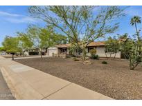 Charming single-story home with desert landscaping and mature shade trees in a quiet neighborhood at 4840 E Sunnyside Dr, Scottsdale, AZ 85254