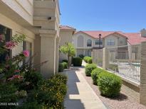 Condos with red roofs are nicely landscaped along a sidewalk in this exterior view at 3930 W Monterey St # 115, Chandler, AZ 85226
