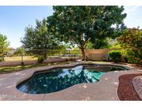 Backyard pool surrounded by mature trees and landscaping, offering a private oasis at 5423 W Range Mule Dr, Phoenix, AZ 85083
