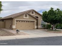Charming single-story home with a well-manicured lawn, mature tree and neutral color palette at 13031 W Surrey Ave, El Mirage, AZ 85335