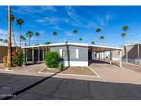 Charming single-story home with covered parking, desert landscaping, and palm trees at 303 S Recker Rd # 141, Mesa, AZ 85206