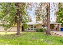 Charming single-story home with a well-maintained lawn and mature trees enhancing its curb appeal at 523 W 14Th St, Tempe, AZ 85281