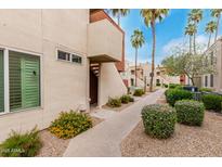 Inviting condo exterior with desert landscaping, sidewalk, and palm trees, set against a blue sky at 3600 N Hayden Rd # 2816, Scottsdale, AZ 85251