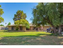 Charming single-story brick home with a well-maintained lawn, mature trees, and inviting curb appeal at 6637 W Pershing Ave, Glendale, AZ 85304