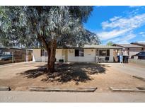 Charming single-story home with a large tree, inviting curb appeal, and a well-maintained exterior at 8042 N 28Th Ave, Phoenix, AZ 85051