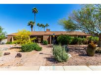 Charming single-story brick home featuring a well-maintained landscape with beautiful desert plants and tall palm trees at 2114 E Hale St, Mesa, AZ 85213