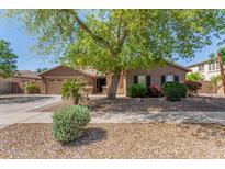 Charming single-story home with a well-maintained front yard, mature tree, and desert landscaping at 18492 E Oak Hill Ln, Queen Creek, AZ 85142