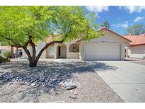Charming single-story home with a well-manicured front yard featuring desert landscaping and mature shade tree at 18802 N 71St Ln, Glendale, AZ 85308