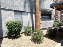 Attractive condo exterior featuring stucco, gravel landscaping, and a mature palm tree at 2025 E Campbell Ave # 132, Phoenix, AZ 85016