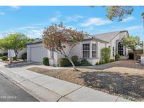 Charming home featuring a well-manicured yard and inviting curb appeal with decorative trees at 510 W Marconi Ave, Phoenix, AZ 85023