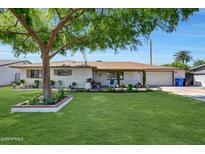 Charming single-story home with a well-manicured lawn, mature tree, and cozy front porch at 609 E Winter Dr, Phoenix, AZ 85020