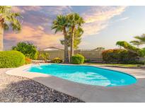 A dazzling swimming pool is surrounded by lush landscaping and palm trees at 325 E Sharon Ave, Phoenix, AZ 85022