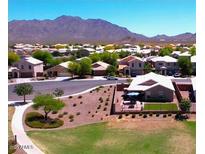 A lovely community view with mountain backdrop and well-maintained lawns on a bright, sunny day at 2070 E Saddlebrook Ct, Gilbert, AZ 85298