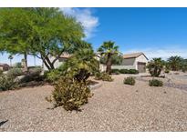 Beautiful single-story home featuring desert landscaping with mature trees and a two-car garage at 20900 N Vista Trl, Surprise, AZ 85387